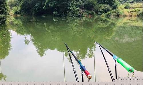3.9鱼竿野钓什么时候用(3.9鱼竿野钓什么时候用最好)(pic1)