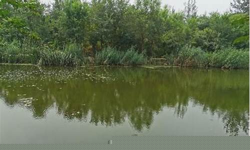 北京周边野钓最佳地点(北京周边野钓最佳地点是哪里)(pic1)