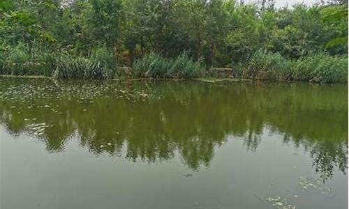 北京最新野釣地點(北京最新野釣地點有哪些)(pic1)