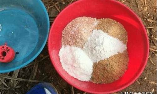 北方夏季野钓饵料配方(北方夏季钓鱼饵料配方)(pic1)