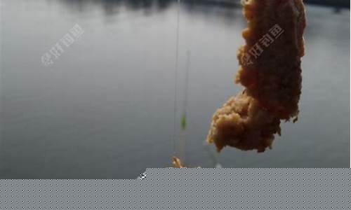 北方野钓鲫鱼窝料配方(北方野钓鲫鱼窝料配方大全)(pic1)